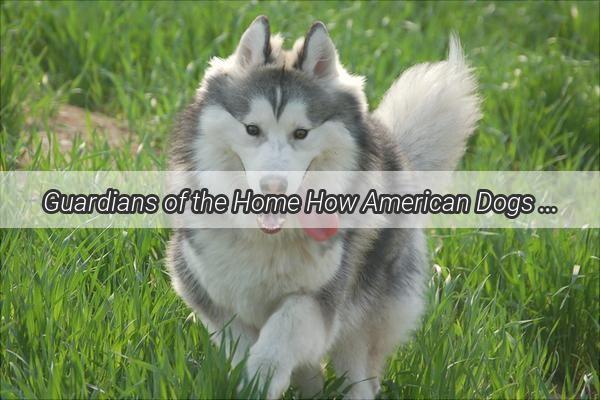 Guardians of the Home How American Dogs Protect Their Owners with Unwavering Loyalty